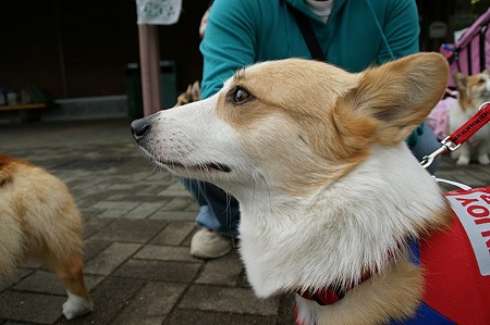 DSC07241