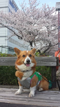20140405_144113