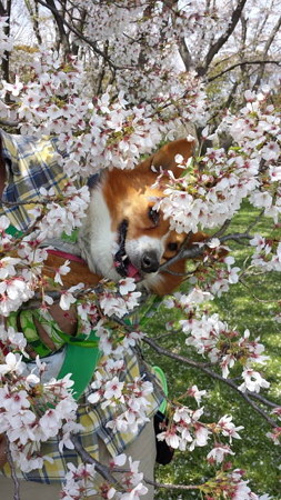 20140406_113728
