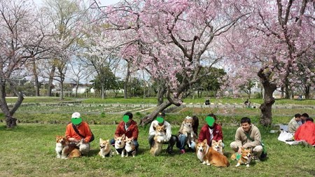 20140406_131724