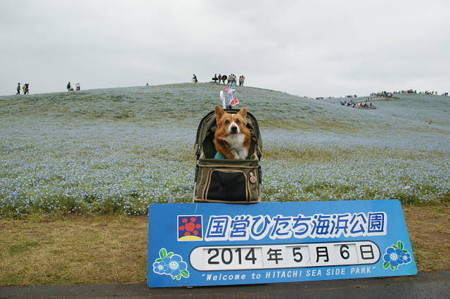 DSC03154