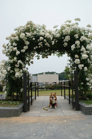 DSC03359