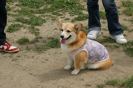 DSC07905