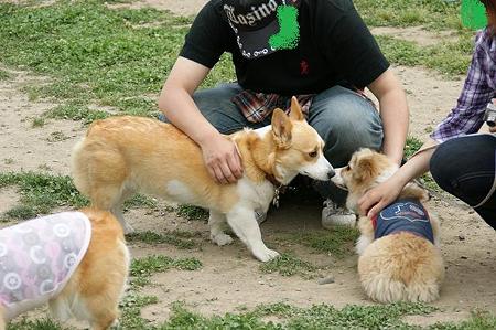 DSC07909