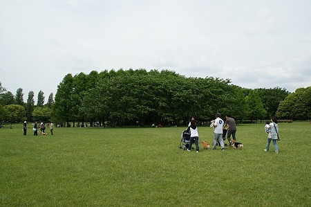 DSC08022
