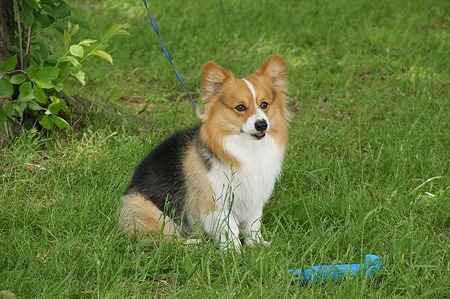 DSC08056