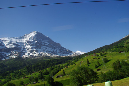 IMGP7890