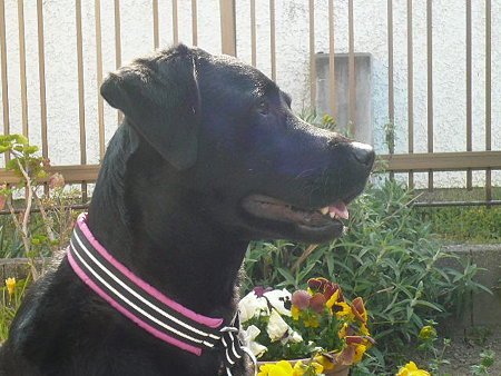 200904130026539e5