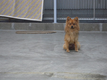 DSCN4157