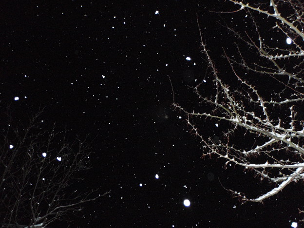 雪空 照片共享页面 撮影蔵