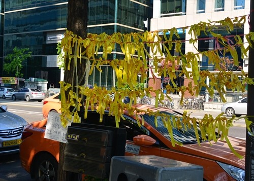 0050DSC_2102_R 写真: 0050DSC_2102_R