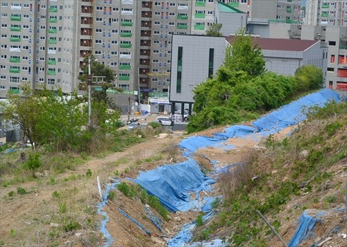 0375DSC_2358_R 写真: 0375DSC_2358_R