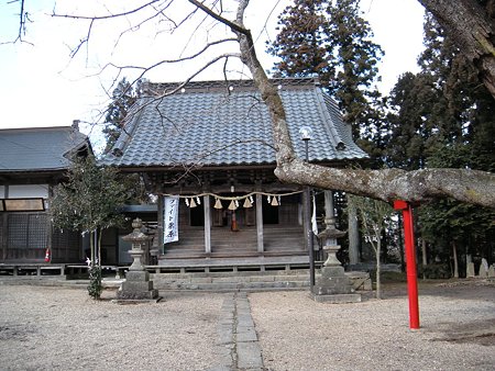 全景