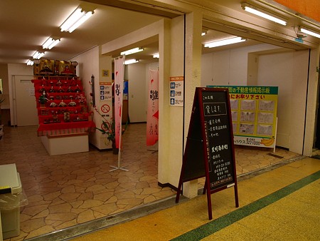 P3152663