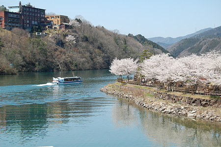 桜2009@恵那峡1