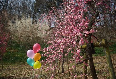 IMGP4027_0309