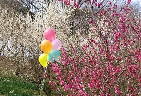 IMGP4159_0309