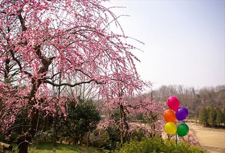 IMGP8012_0316