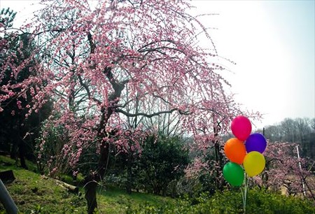 IMGP8109_0316