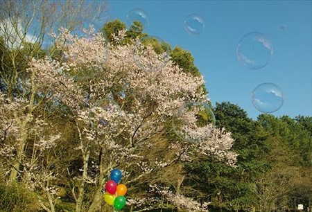 IMGP9686_0322