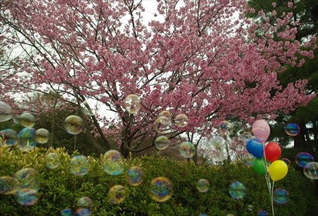 IMGP0660_0329