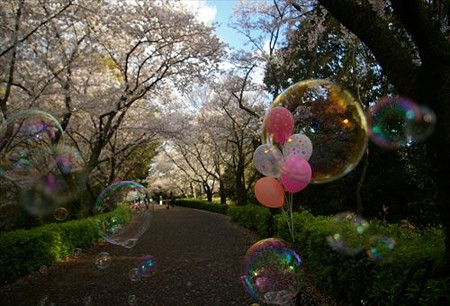 IMGP4014_0406