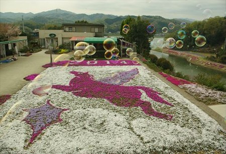IMGP2960_0412