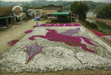 IMGP2969_0412