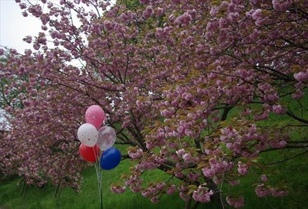 IMGP0026_0419