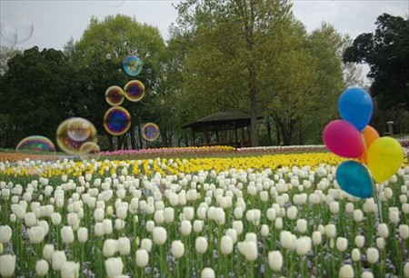 IMGP0188_0420