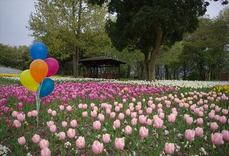 IMGP0200_0420