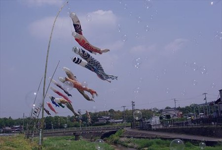 IMGP5125_0503