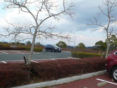 s-P1040590