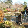 馬事公苑：紅葉-10日本庭園c菖蒲池