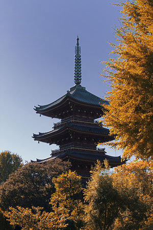 上野五重塔（レタッチ後１）