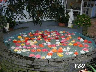 BLOG2275_pa