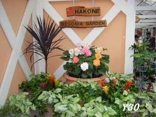 BLOG2271_pa