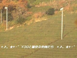 081204_1543~0001_pa