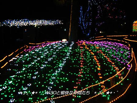 DSCF2218_pa