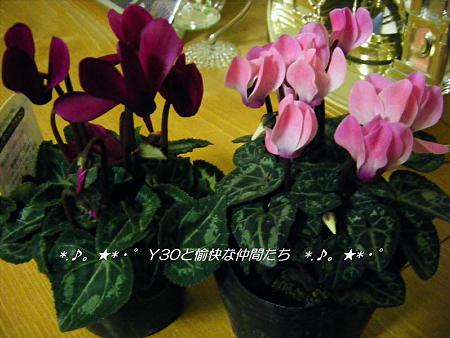 DSCF2270_pa