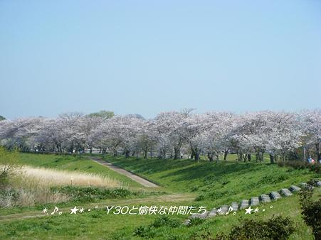 DSCF2978_pa
