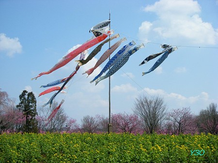 DSCF6389_P
