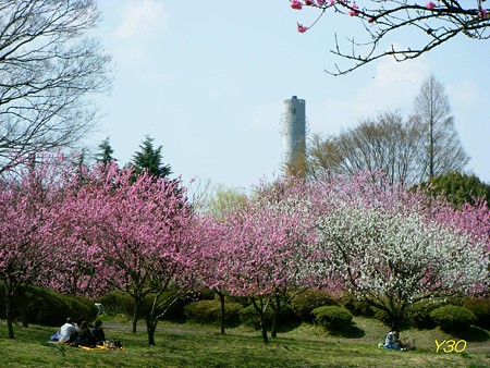 DSCF6391_P