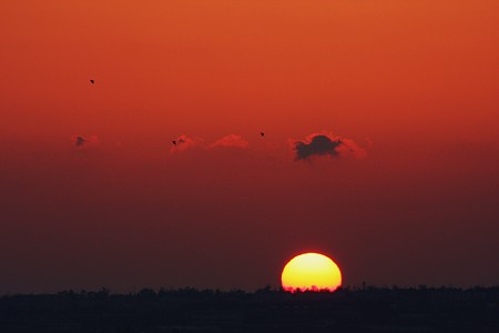 夕日とカラス