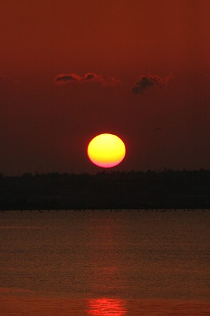 今日の夕日　　河北潟