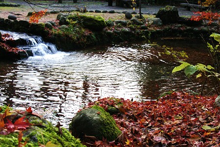 山中温泉　鶴仙渓　畔の公園の池