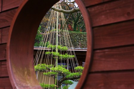 窓と松　金沢城公園で