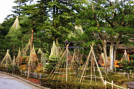 兼六園　時雨亭　雪つり