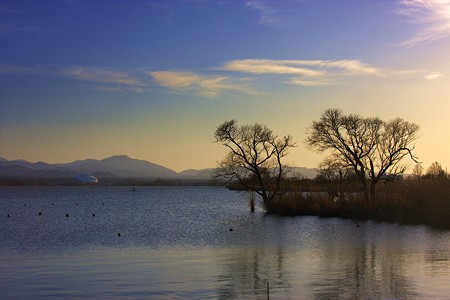 木場潟の夕景