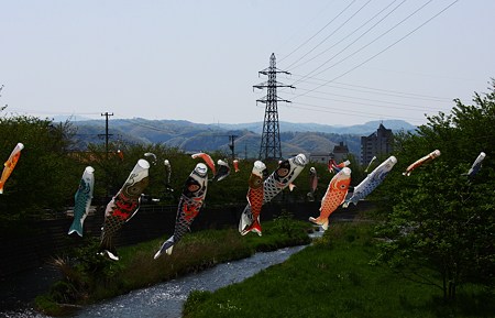 こいのぼり　５月の空？川を元気に！